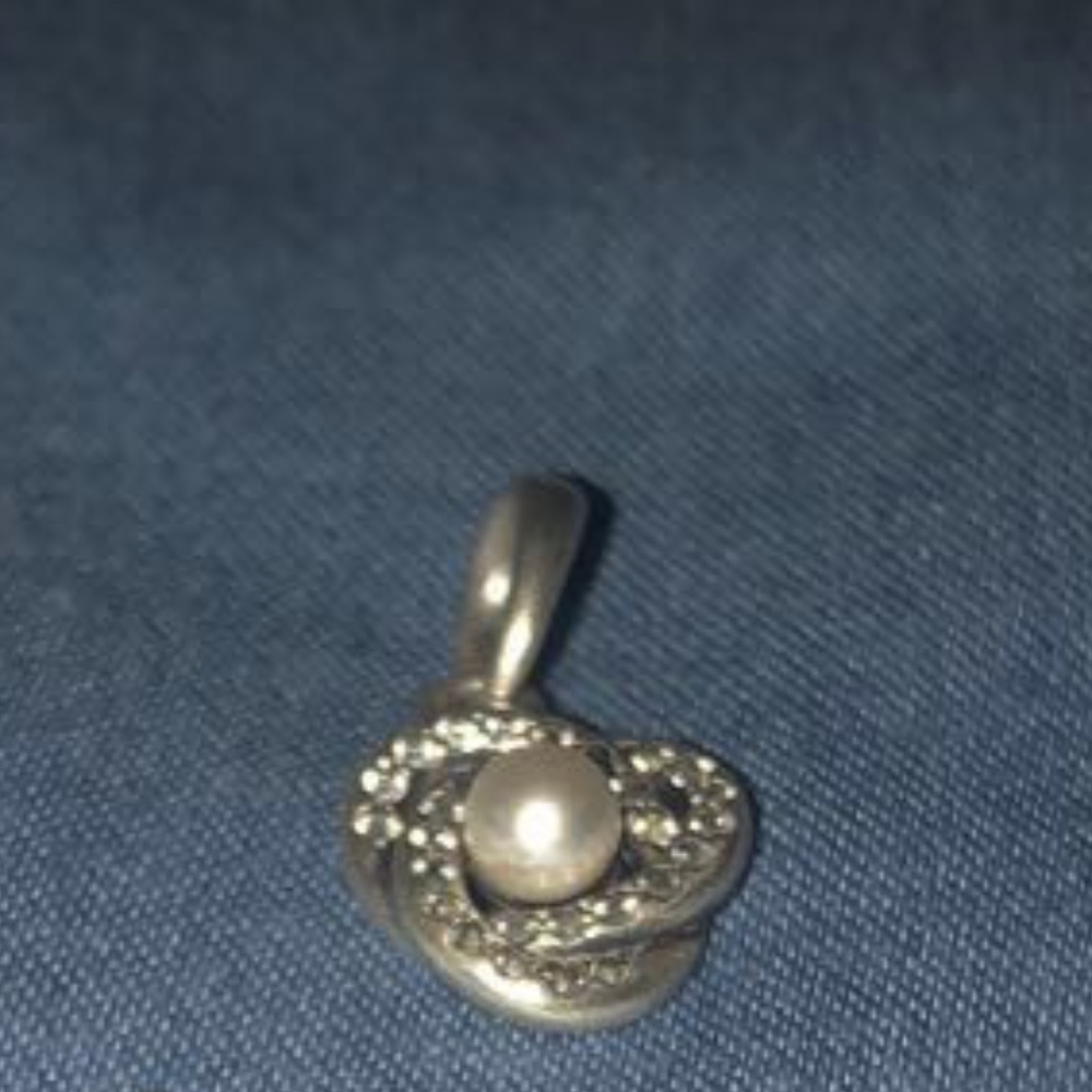 Pandora Necklace Charm
